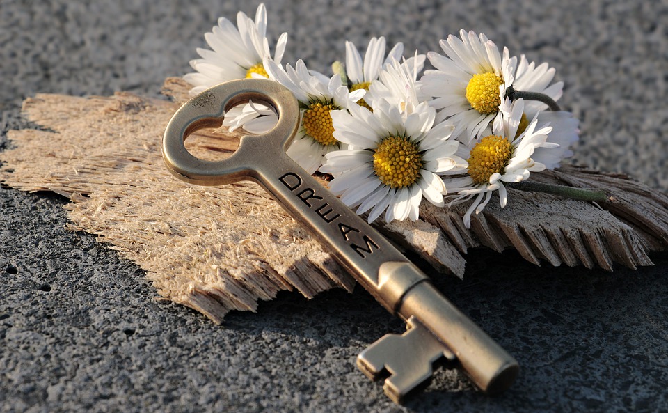 https://pixabay.com/en/key-heart-daisy-love-wood-3087898/