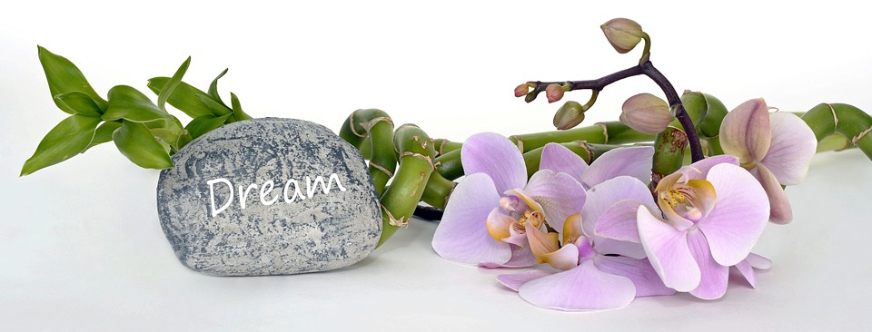 https://pixabay.com/en/orchid-orchid-flower-bamboo-2115261/