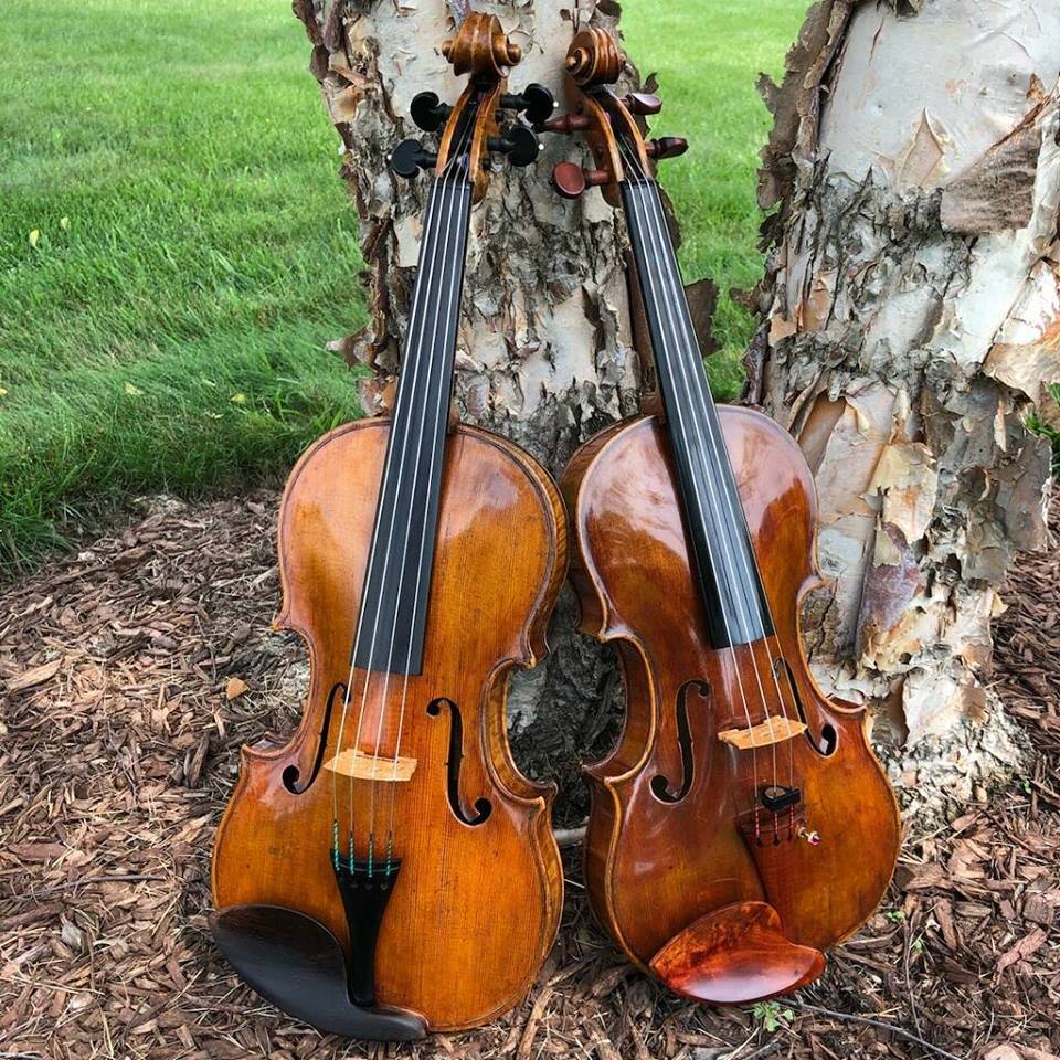 violins