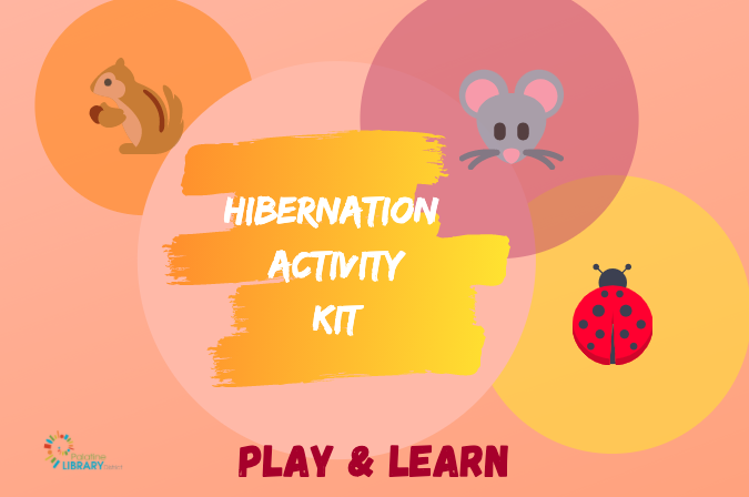 Hibernation Activity Kit