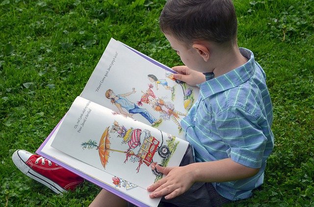 boy reading picture book