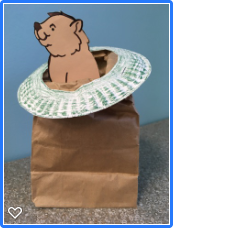 tan colored groundhog peeking out from top of brown paper bag