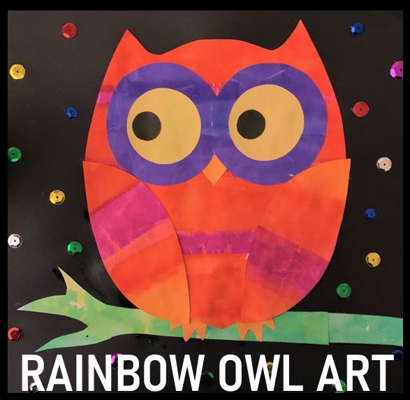 Rainbow Owl Art 