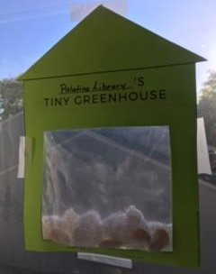DIY Window Greenhouse