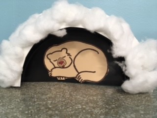 sleeping brown bear inside cave covered with cotton ball snow.