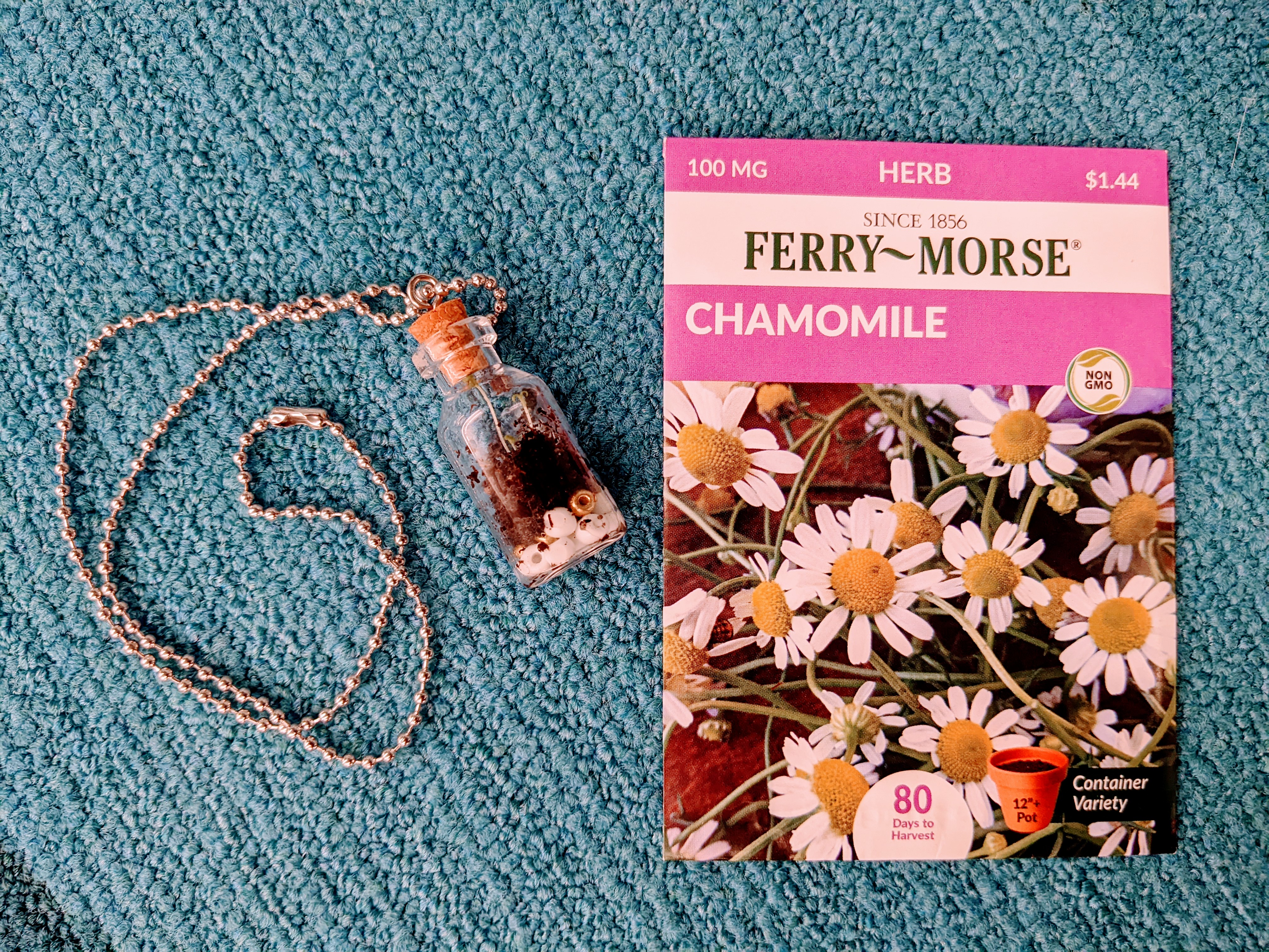 Sample terrarium charm necklace and chamomile seeds. You can also make this into a keychain.