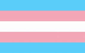 Transgender Flag. A flag with blue, pink and white horizontal stripes. 