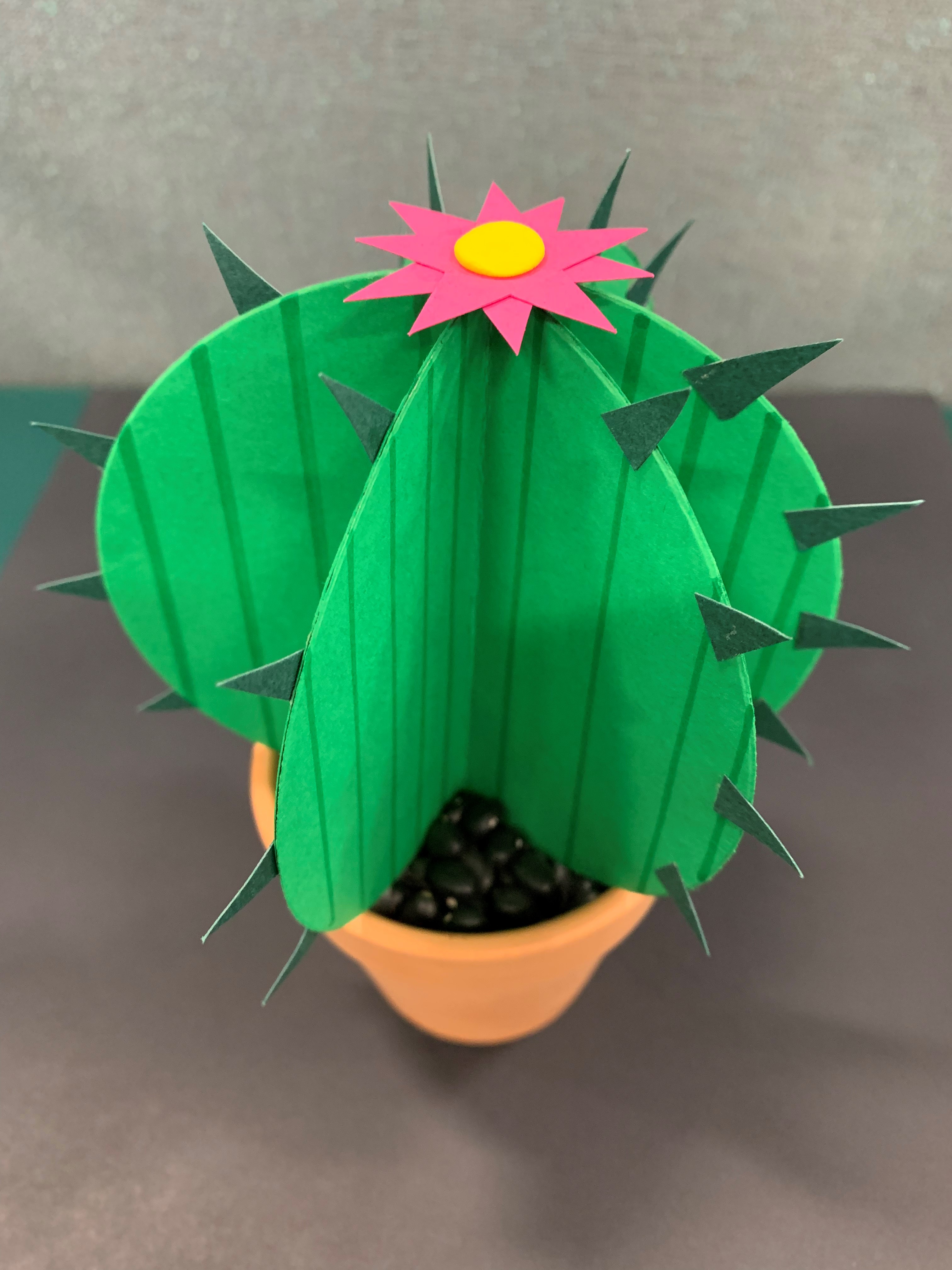 Cactus Art Example