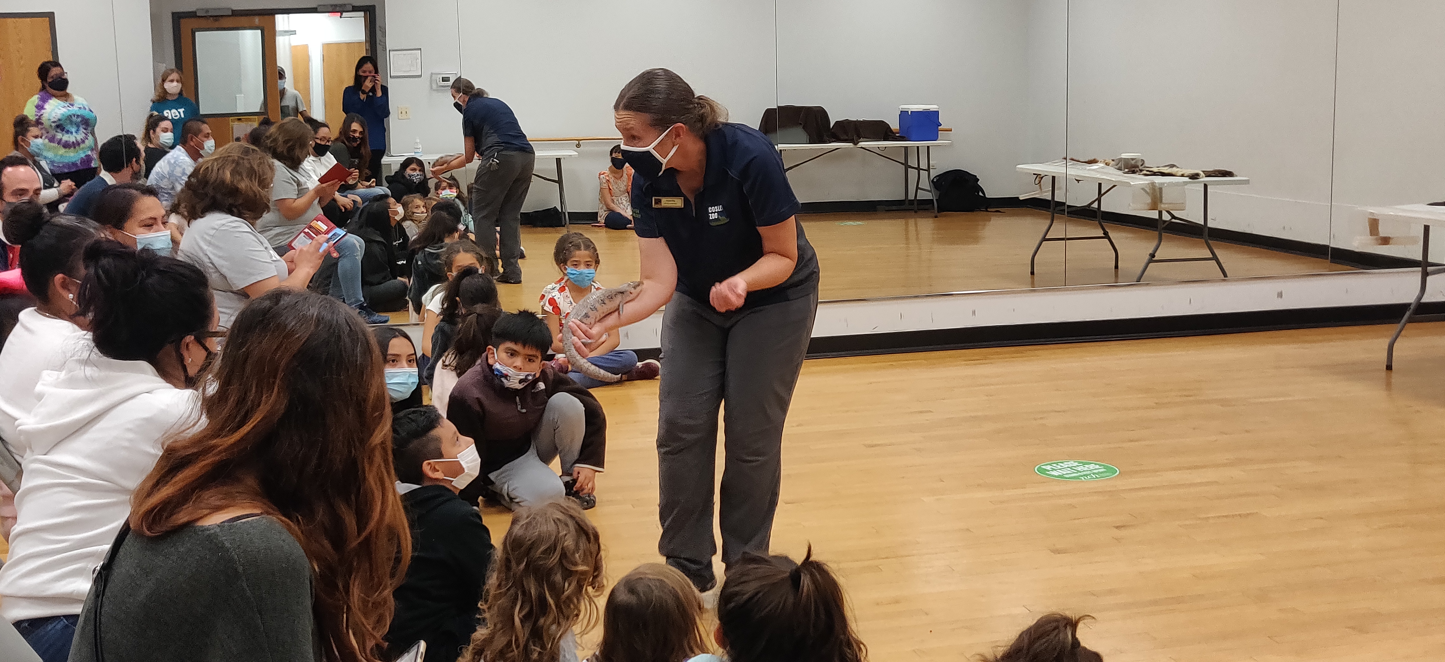 Natasha, from the Cosley Zoo, having kids pet a reptile.