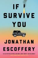 If I Survive You book cover