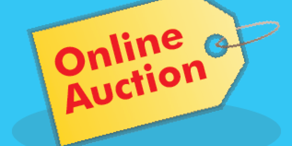 online auction graphic