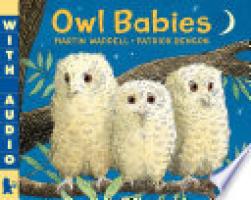 Cover image for Owl Babies