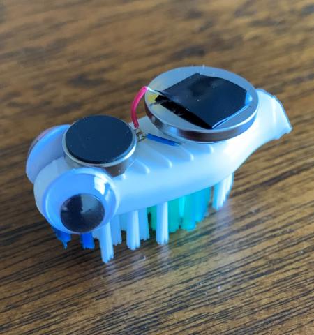 Miss Emily's Bristle Bot