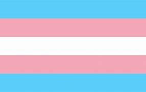 Transgender Flag. A flag with blue, pink and white horizontal stripes. 