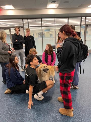 Photo of a crowd of high school students petting a long haired dog.